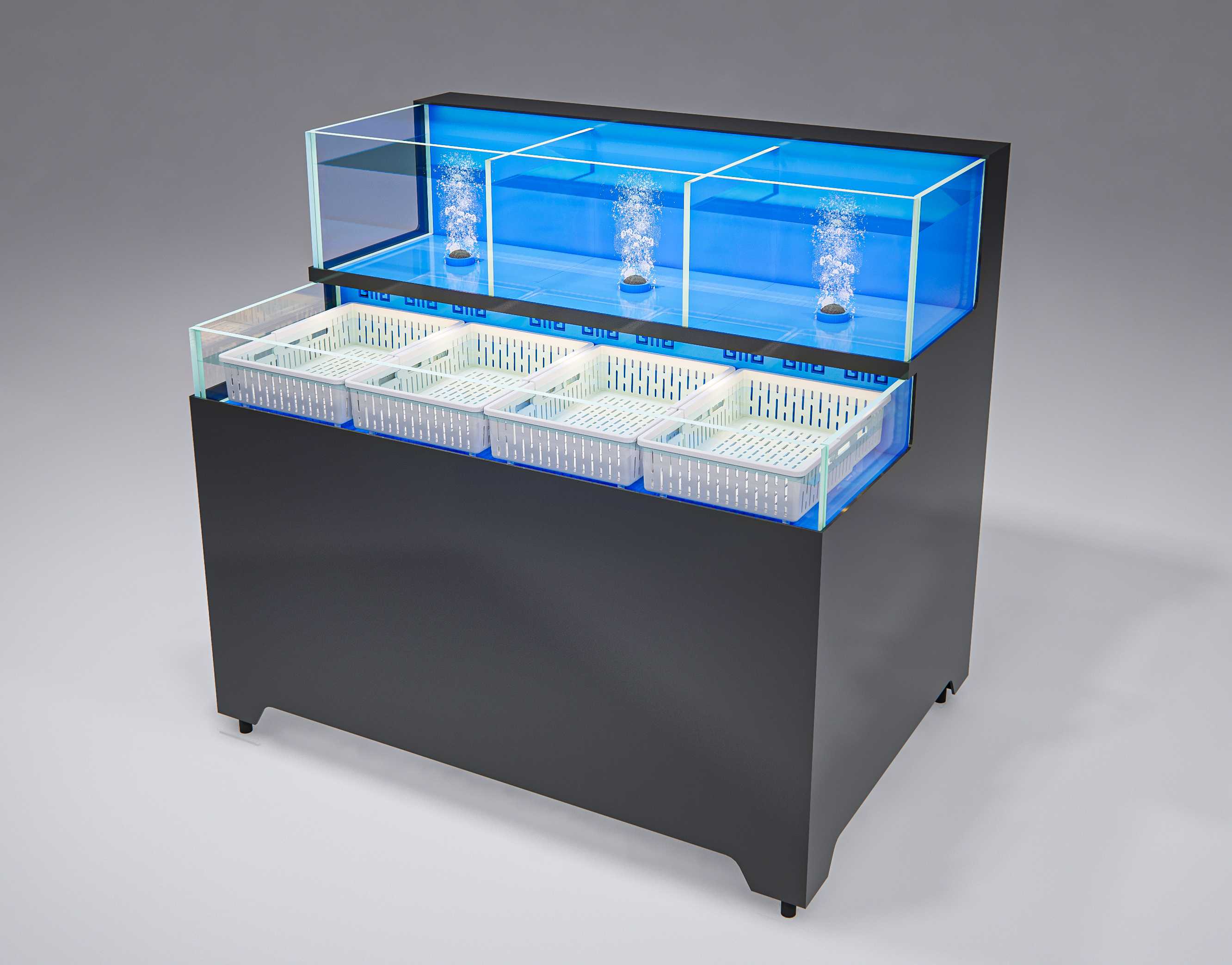 Fish and shellfish combination tank (dual system)