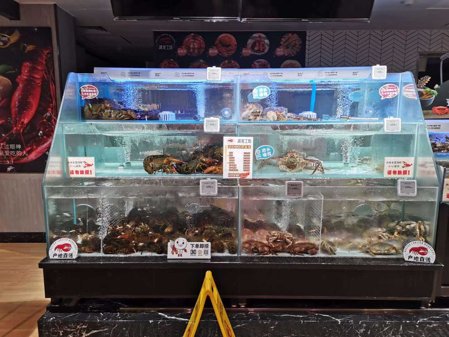 超级物种